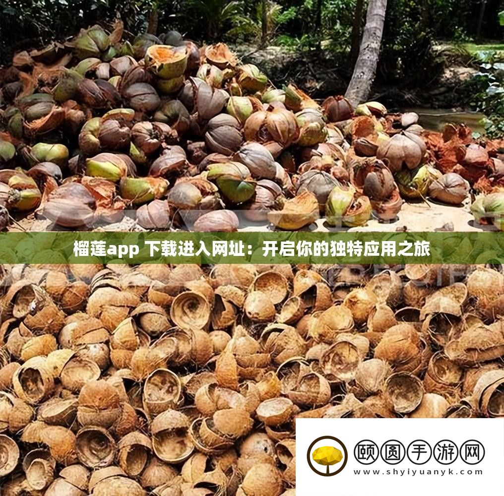 榴莲app 下载进入网址