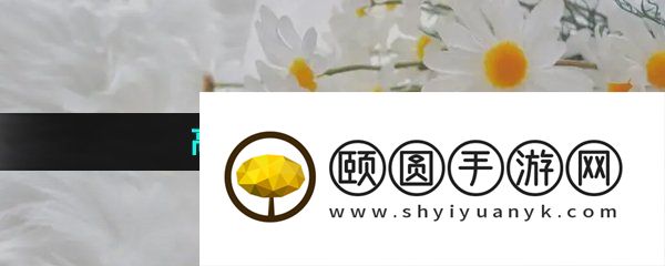 高效率p图软件推荐