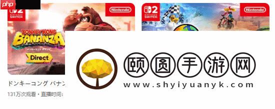 咚奇刚
