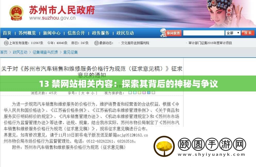 13 禁网站相关内容