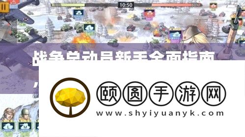 战斗总发动新手周全攻略