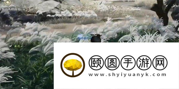 《射雕手游》蒹葭获取方法