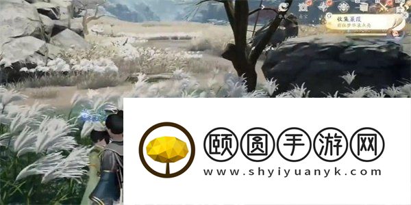 《射雕手游》蒹葭获取方法
