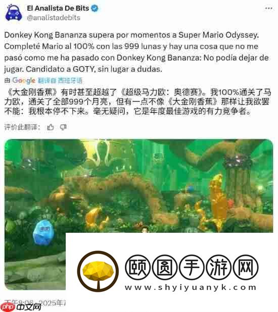知名博主盛赞咚奇刚