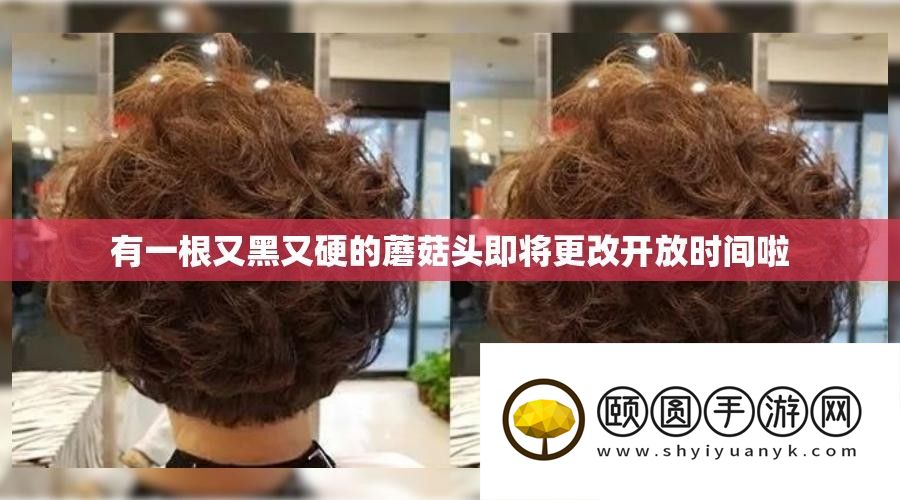 有一根又黑又硬的蘑菇头行将变动开放时候啦