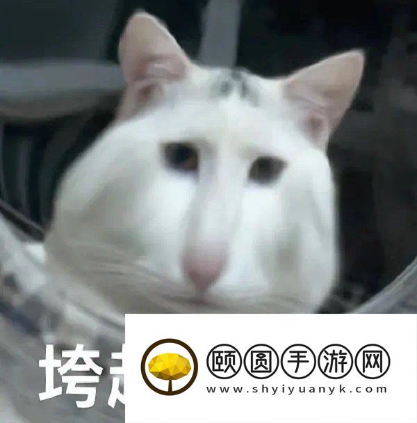 《抖音》all right梗的意思介绍