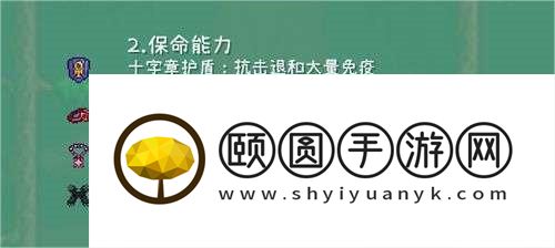 泰拉瑞亚法师毕业饰品搭配推荐
