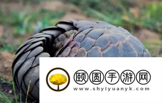 《支付宝》蚂蚁庄园2023年3月4日每日一题答案（2）