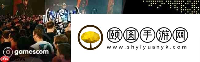 共襄盛举