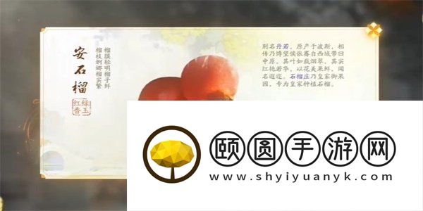 《射雕手游》安石榴获取方法