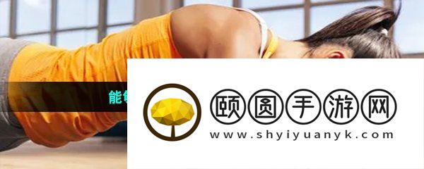 能够分析每日健身详情的运动软件推荐