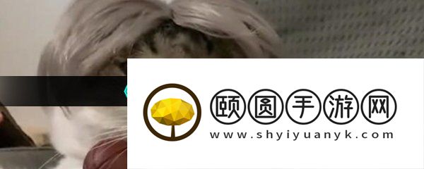 《抖音》梅狸猫梗的意思介绍