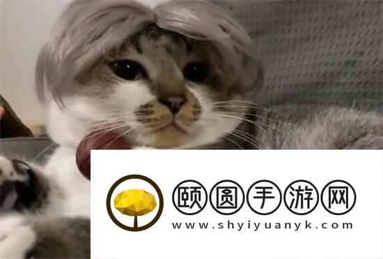 《抖音》梅狸猫梗的意思介绍