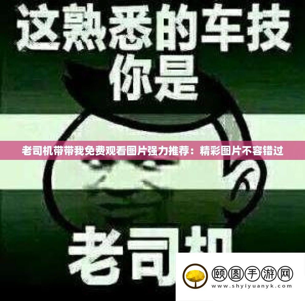 老司机带带我收费旁观图片强力推荐
