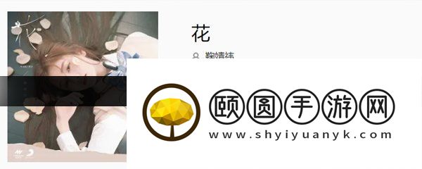 《抖音》花歌曲介绍
