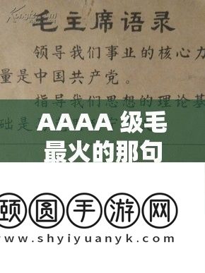 AAAA 级毛最火的那句经典话语事实是甚么