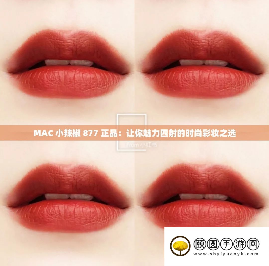 MAC 小辣椒 877 正品