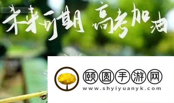 南昌学大教育高三全日制艺术生文化课价格2026一览表