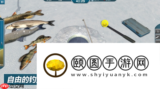 钓鱼技巧推荐