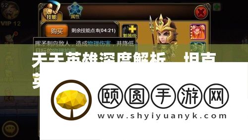 每天英雄深度分析