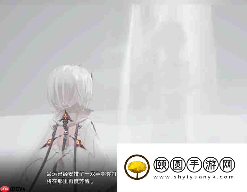 贝雷妮卡身份详细介绍