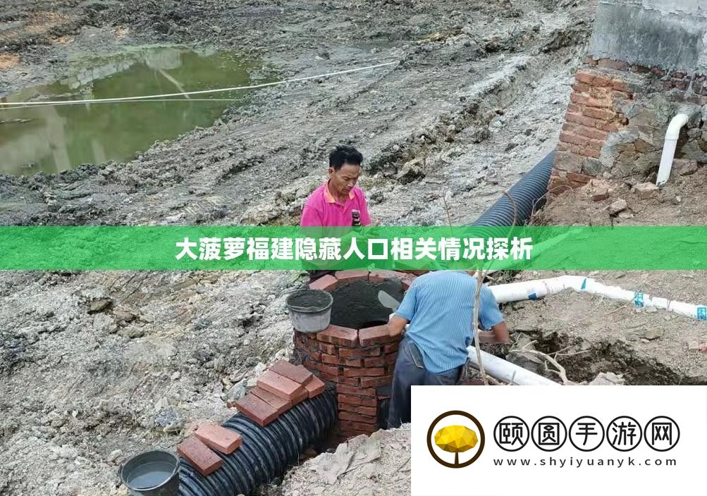 大菠萝福建潜藏人口相关情形探析