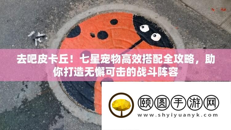 去吧皮卡丘