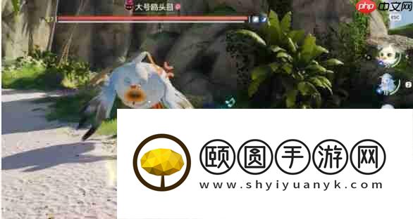 伊莫大号鸥头目终极讨伐指南