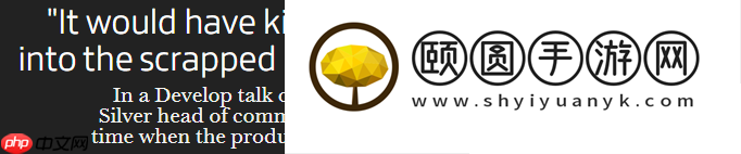 开发方向的重要性