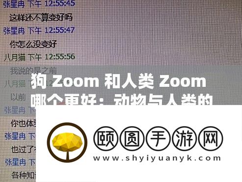 狗 Zoom 和人类 Zoom 哪个更好