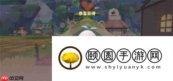 米姆米姆哈夜梦鲸入手攻略