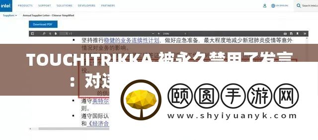 TOUCHITRIKKA 被永远禁用了谈话