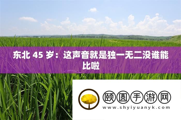 东北 45 岁