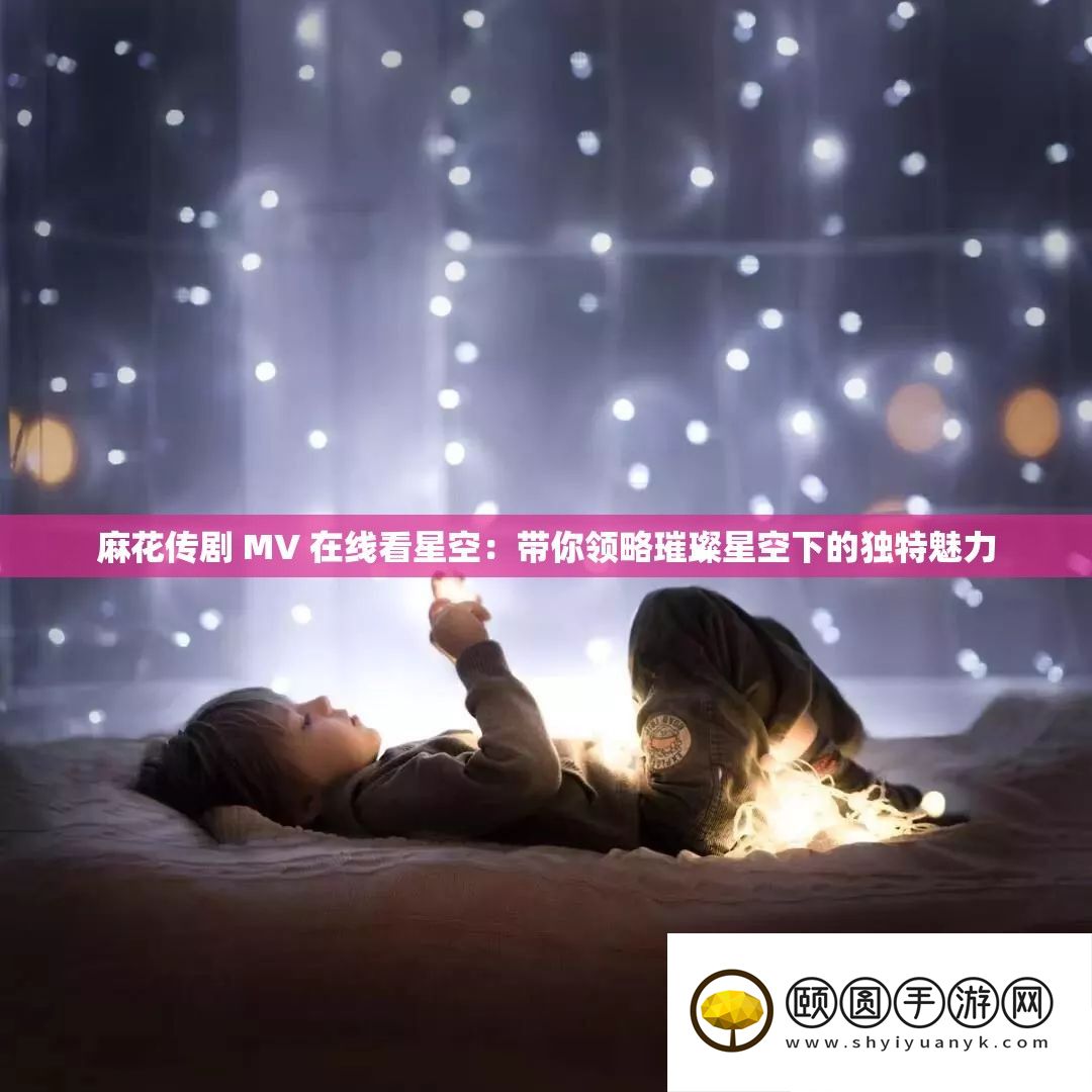 麻花传剧 MV 在线看星空