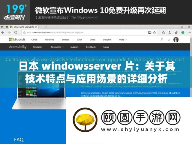 日本 windowsserver 片