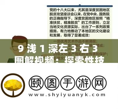 9 浅 1 深左 3 右 3 图解视频