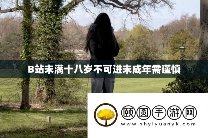 B站未满十八岁不可进未成年需谨慎