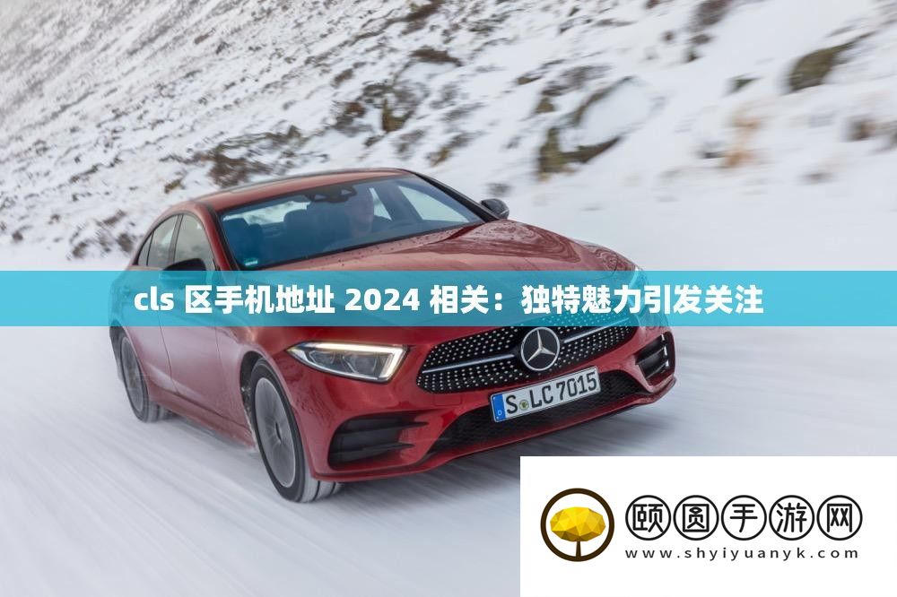cls 区手机地址 2024 相关