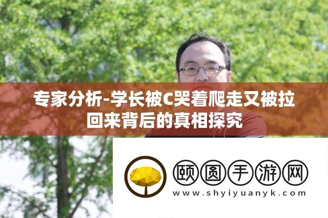 专家分析