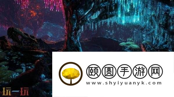 享六折优惠