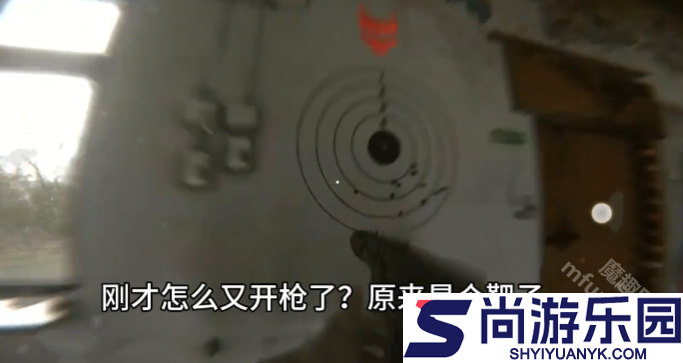 代号真实中文版下载