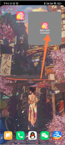 鲸鱼小组件app免费下载