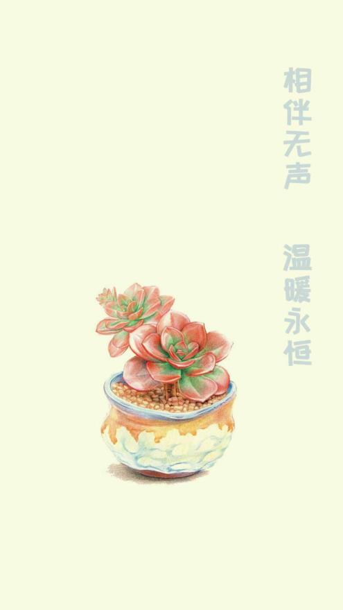 小墨多肉日记记录最新版下载