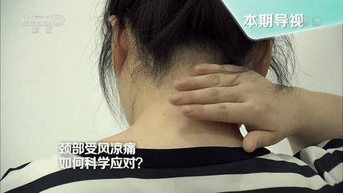 月光宝盒pro2026最新版本下载