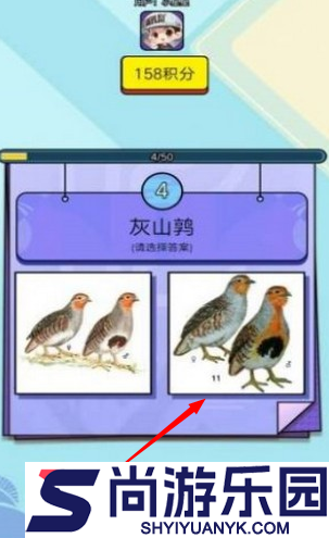 飞鸟乐园游戏最新版下载