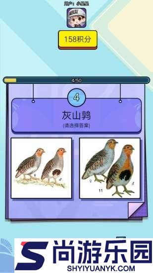 飞鸟乐园游戏最新版下载