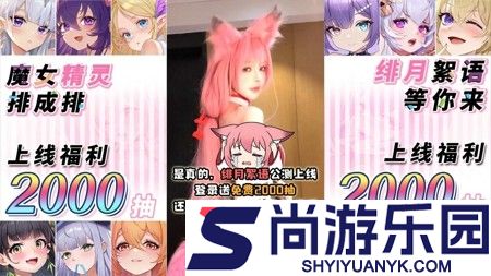 绯月絮语阵容搭配推荐