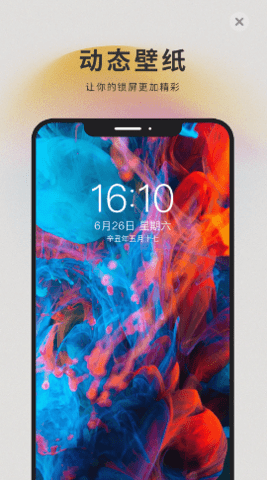 萌猫壁纸高清版下载