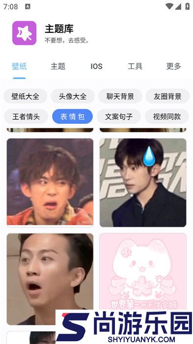 主题库pro免费版下载