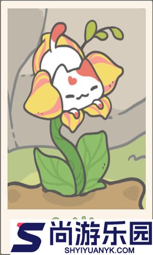 我的猫盆栽中文版下载